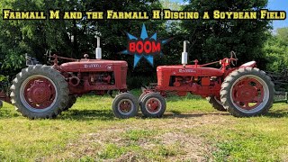 Farmall M and the Farmall H Discing a Soybean Field