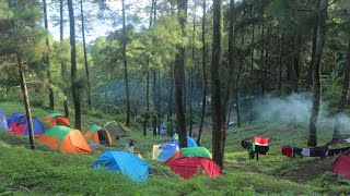 Camping di Bumi Perkemahan Dlundung, panduan lengkap, suasana asli