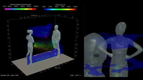 Sneezing Simulation based on the Sars-Cov-2 Situation in 2020 ∇ OpenFOAM®