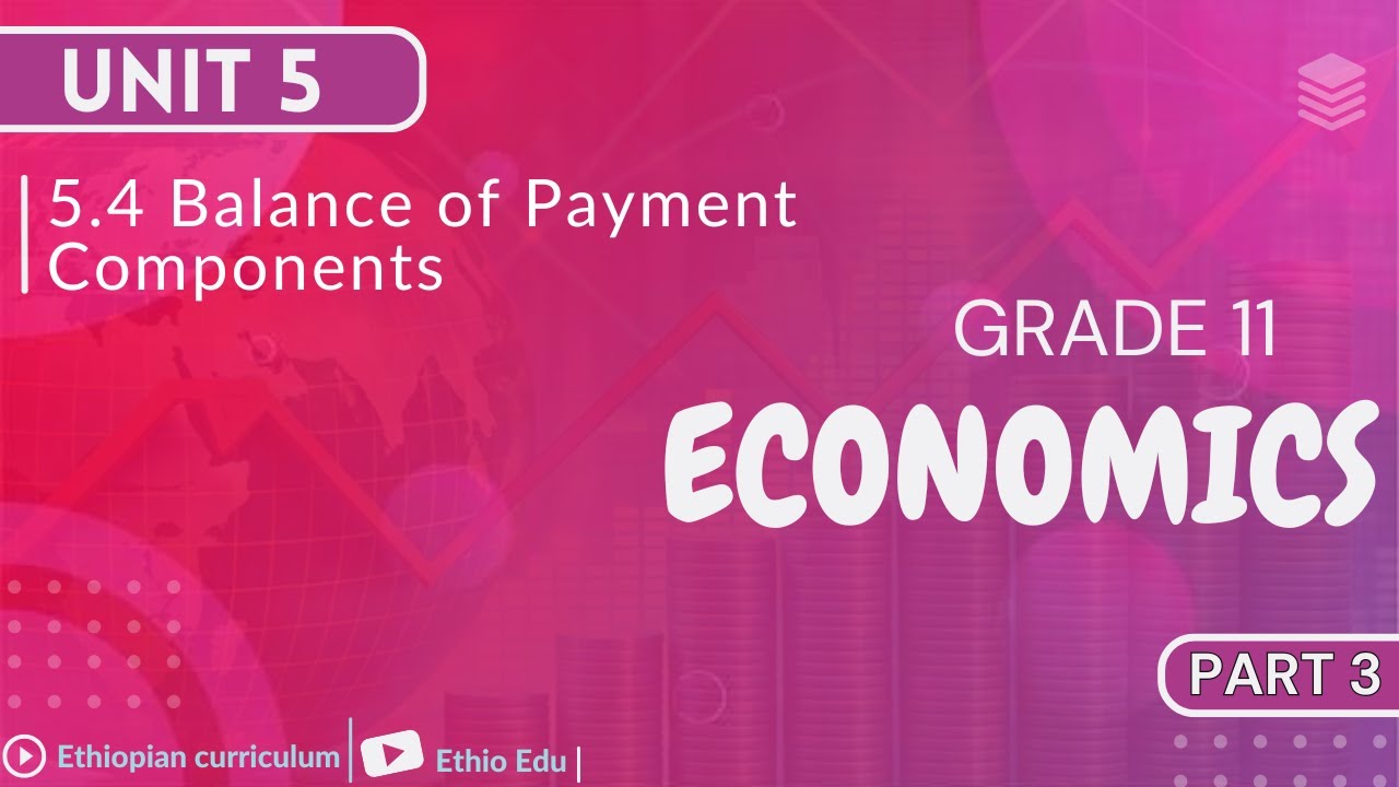 Grade 11 Economics Unit 5 _ 5.4 Balance of Payment Components | part 3  #ethioedu