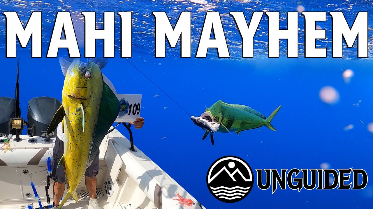 Mahi Mayhem! South Carolina Mahi Series Day 1 YouTube