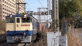 【EF65国鉄色牽引隅田川シャトル】JR貨物 EF65 2081号機+コキ20B 新A65仕業[77レ] 隅田川行 小田栄駅通過！