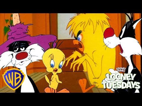 Looney Tuesdays |  Sylvester🐱 VS Tweety🐥 | @wbkids​