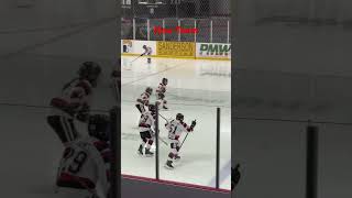 Ham in warmies 36 #hockey #67s
