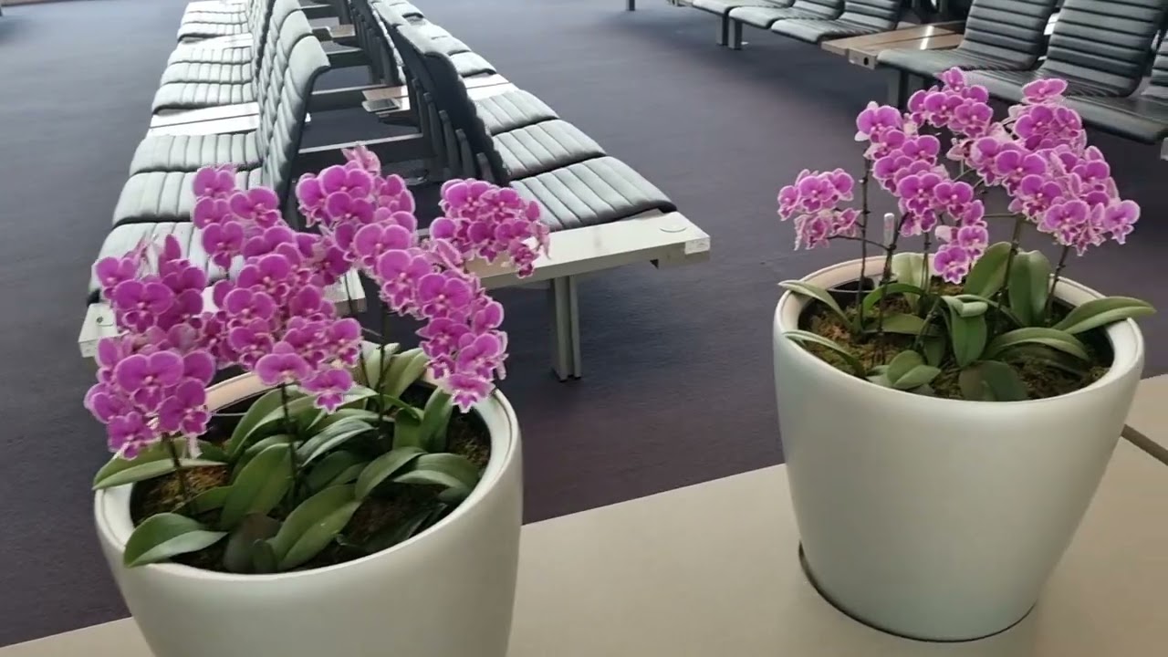 Аэропорт Инчон, Сеул.