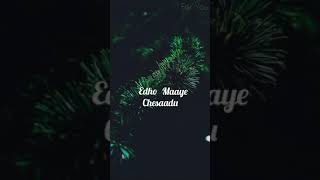 Best Whatsapp Status , Pillagaadu Lyrical Song