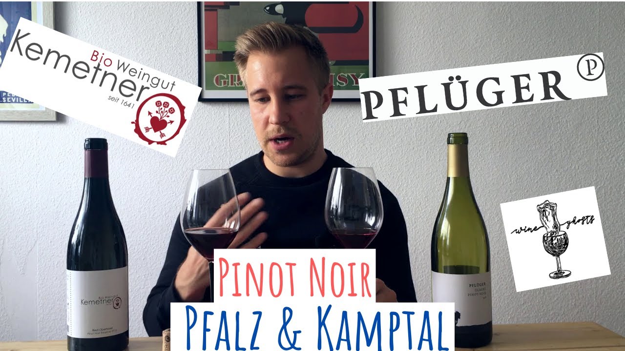 Pinot Noir Wine Ghosts | Pflüger & Kemetner | Pfalz & Kamptal