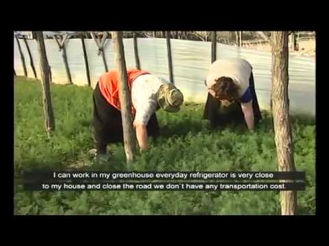 წარმატებული ისტორია კოოპერატივი დოვლათი_Success Story of ENPARD Supported Cooperative \"Dovlati\" |PIN