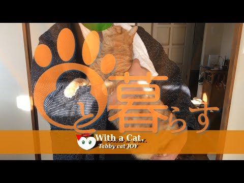 とら猫 JOY (ΦωΦ) - トチャン vs かちゃん ！？の日