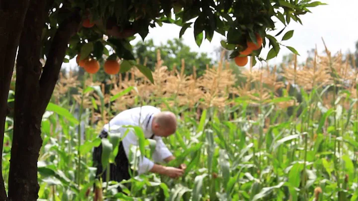 Executive Chef Michael Rossi, THE RANCH Restaurant...