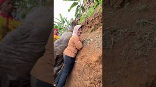 Diem Di Pojokan! Mak emak Hijaber Pasrah Dikotorin Kuda Lumping