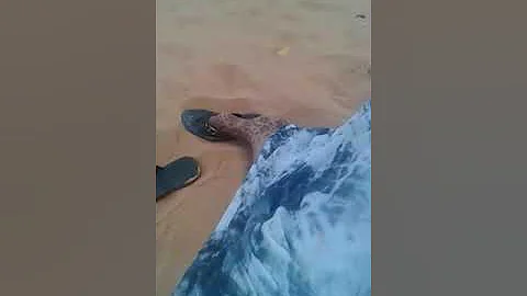 هاذ الخزو 
