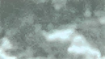 Witness in the Waves- Bumper