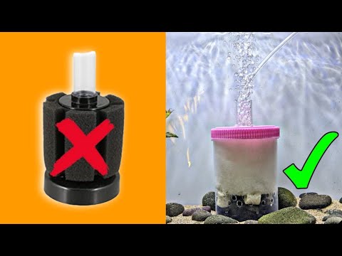 Video: Filter akuarium DIY. Cara merakit filter akuarium: diagram, tip