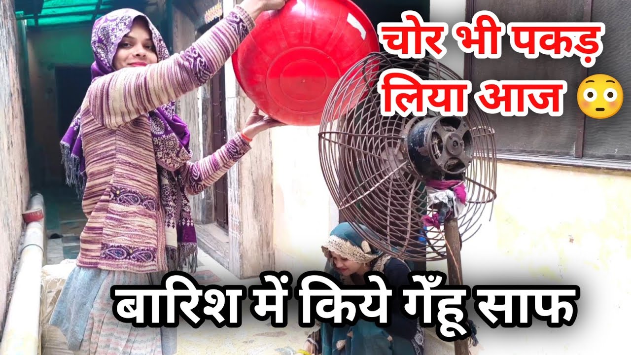 छत पर चड़ आये चोर 😳| बारिश में किये गेँहू साफ 😇 | Radhika Zara Vlog 