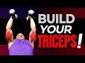 How To Build Your Triceps With Dumbbells ONLY (4 Best Exercises!)