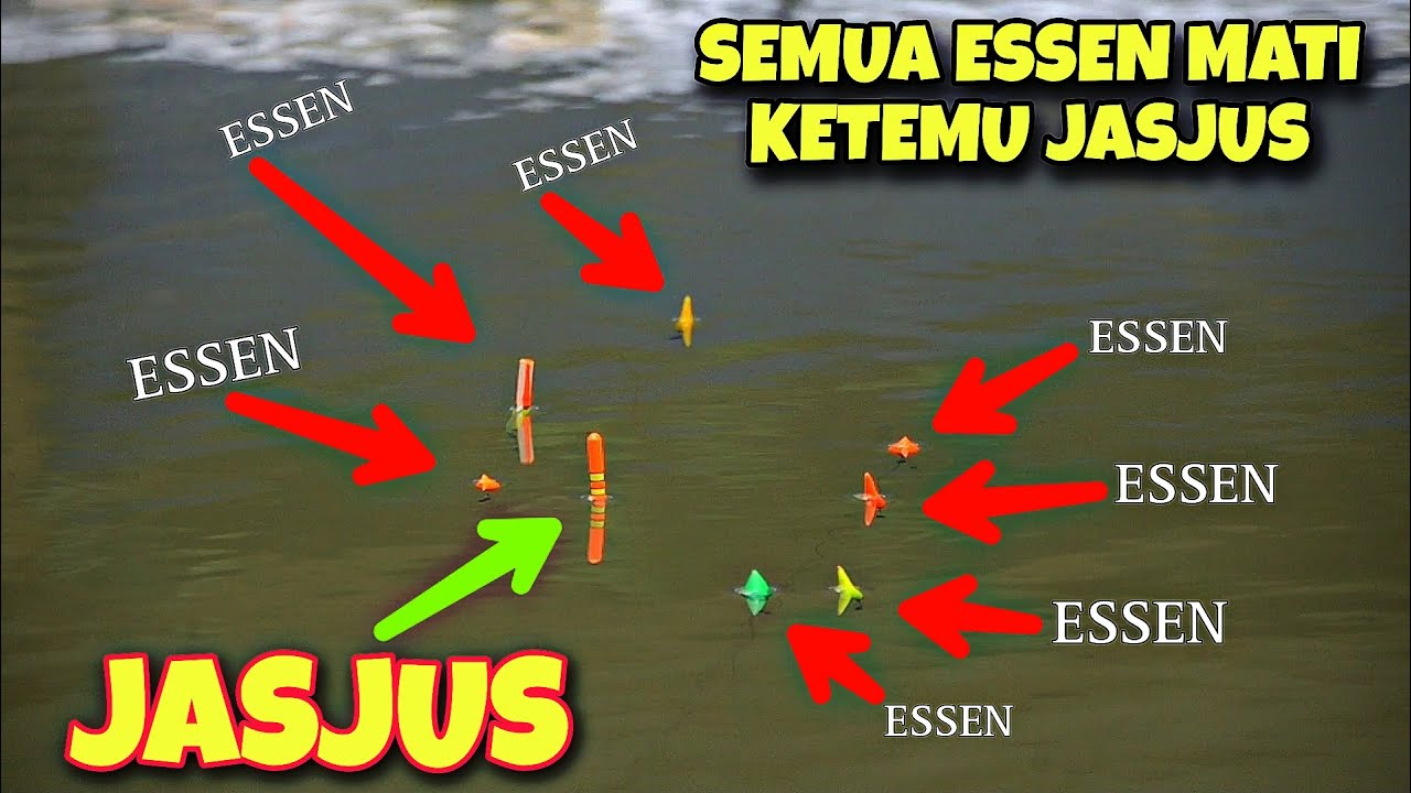 Semua Pemakai Essen Cuma Bisa Geleng-Geleng Kepala | Umpan Mancing Jasumon