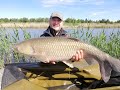 Рыбалка на карпа и амура в мае, КАРПФИШИНГ(Carpfishing): мощнейшие паровозы в исполнении карпух !!!