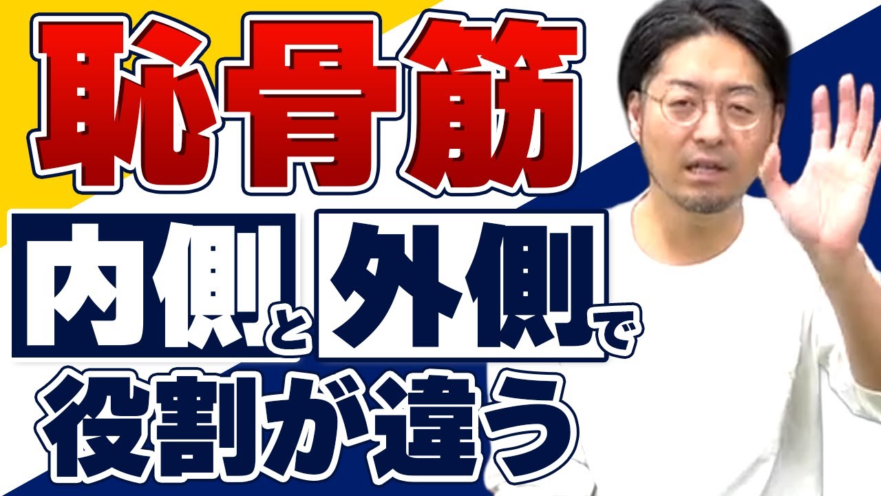 【股関節が痛い】恥骨筋を押さえて伸ばす可動域テクニック