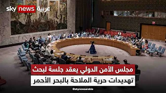 مجلس الأمن الدولي يعقد جلسة لبحث التهديدات التي تواجه حرية الملاحة بالبحر الأحمر