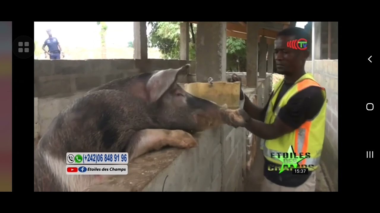 émission  étoiles des champs