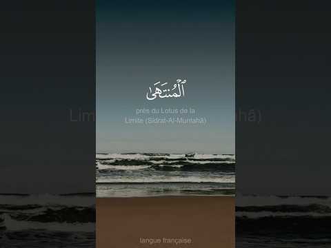 ولقد رءآه نزلة أخرى عند سدرة المنتهى عندها جنة المأوى