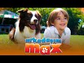 Arkadaşım Max | Komedi Filmi