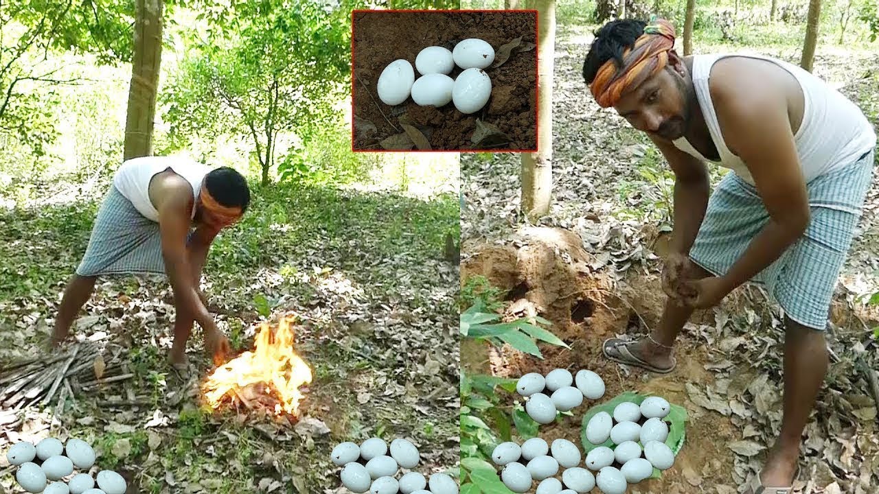 Primitive Cooking Technology || Egg Boilling in Soil || Kiktv Network | KikTV Network