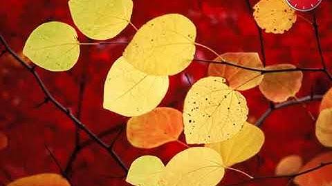 Action Center - Windows 7 Ad (2009)