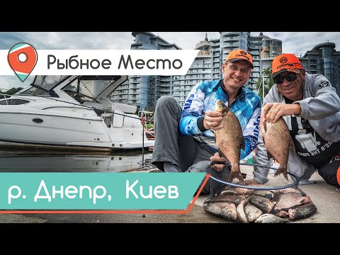 Рыбалка В Центре Киева! Фидерная Ловля С Комфортом. Рыбное Место.