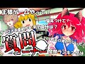 【ゆっくり茶番劇】『みんなの質問・リクエストに応えちゃう死神と少年と吸血鬼っぽい何か』