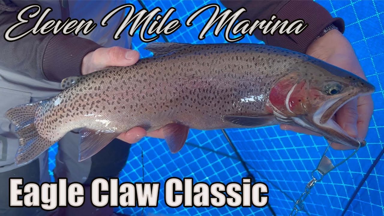 Eleven Mile Reservoir Eagle Claw Classic Ice Fishing Tournament YouTube