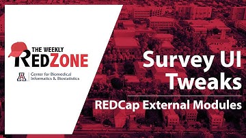 REDZone - Survey UI Tweaks