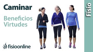 ¿Por qué es tan bueno caminar?  Virtudes y beneficios de andar varios kilómetros todos los días