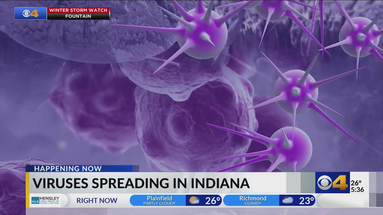 Norovirus cases on the rise to start 2025 - YouTube