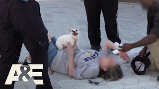 Live Rescue: Treating the Intoxicated - Top 4 Moments - Part 4 | A&E