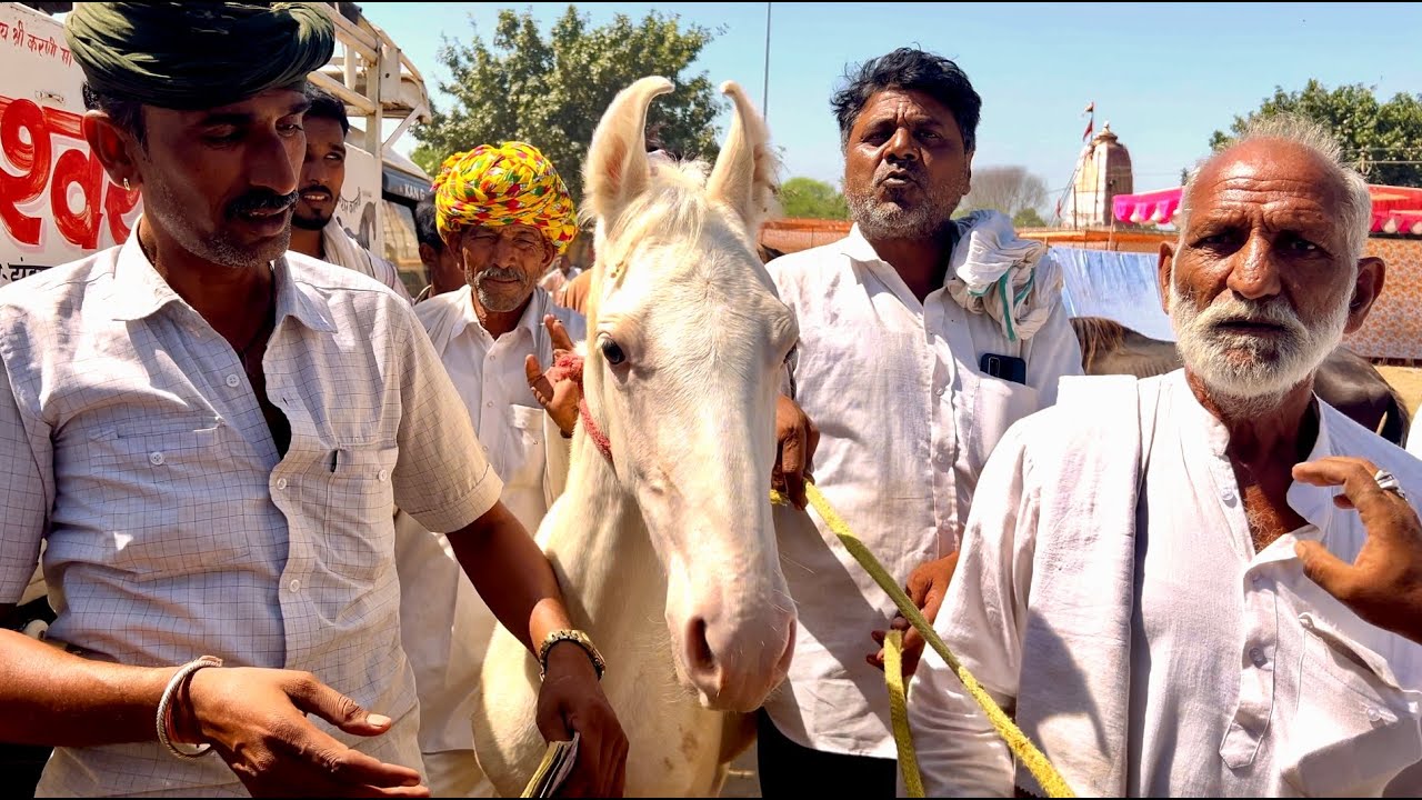 खलकानी मेले में दो दिलदार सोदागर पहली बार धारदनी में वापिस किए इतने पैसे 9410273386