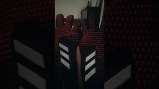 мои первые перчатки дляGK#adidas #predator #врек #исполнениежеланий