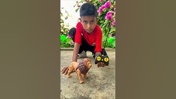 RC Lion 🦁 Unboxing and Testing🔥