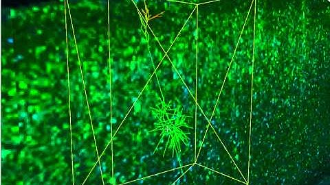 Whole Brain Catalog simulating Mainen-Sejnowski model of a neuron