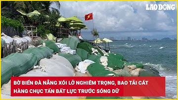 Bờ biển Đà Nẵng xói lở nghiêm trọng, bao tải cát hàng chục tấn bất lực trước sóng dữ| Báo Lao Động