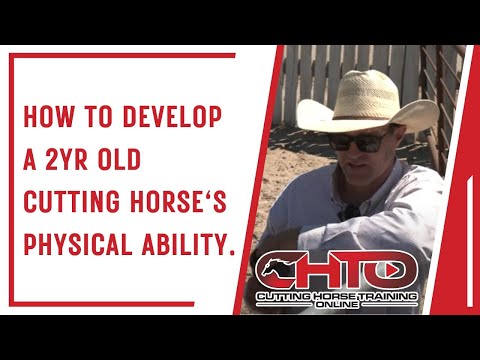 How To Develop A 2yr Old Cutting Horse's Physical Ability.