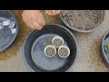 Torai Beej Lagane Ka Best Tarika | Sponge Gourd Seed Sowing