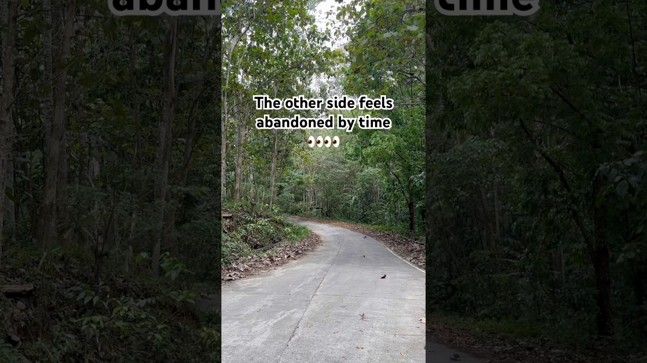 This road feels forgotten. 🤯👀