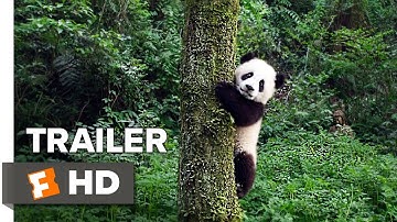 Pandas Teaser Trailer #1 (2018) | Movieclips Indie