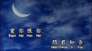 Cantonese  劉德華 Andy Lau  上海灘 shang hai tan