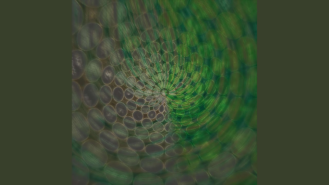 Hello auf YouTube ansehen Hello auf YouTube ansehen