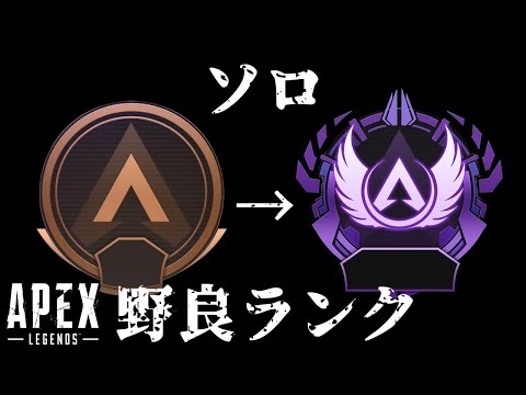 【APEX】1週間でソロマスターチャレンジ！野良ランクマッチ【APEX LEGENDS/エーペックスジェンズ生放送ライブlive生配信】