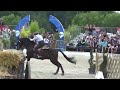 Working equitation world championship 2022 in les herbiers speed test filipe gilberto on zinque