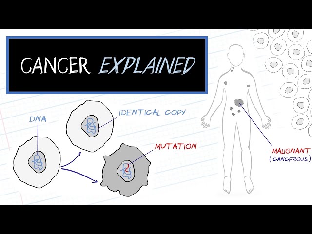 What is Cancer? (HealthSketch) class=